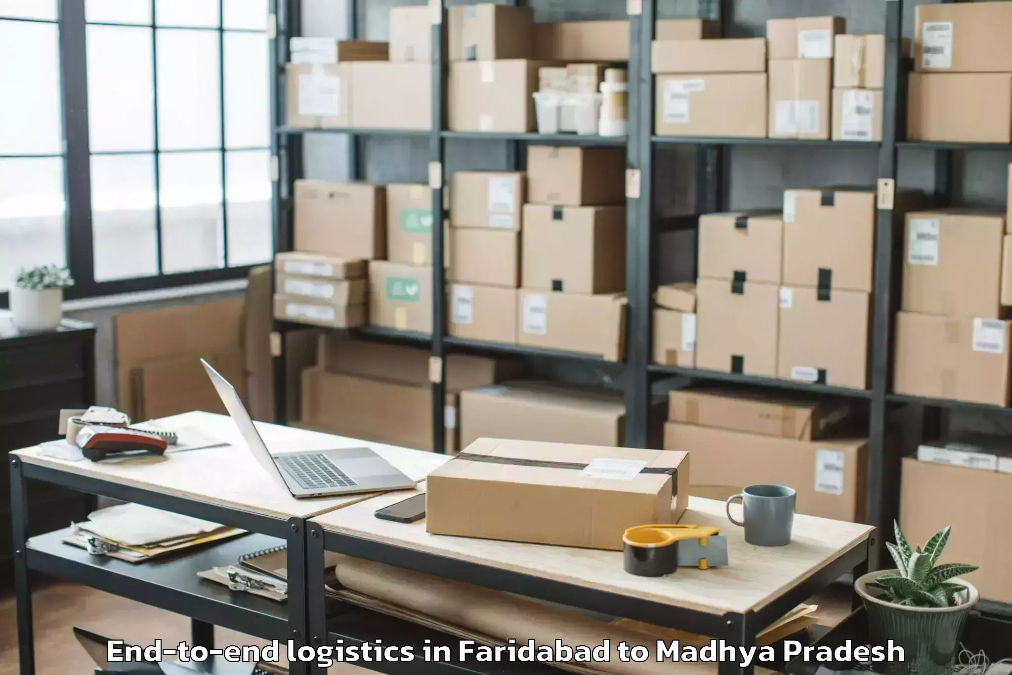 Professional Faridabad to Majhauli End To End Logistics